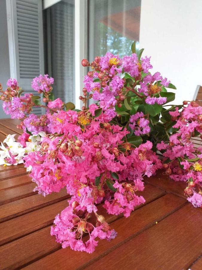 Apartment Nevia ฟาชานา ภายนอก รูปภาพ